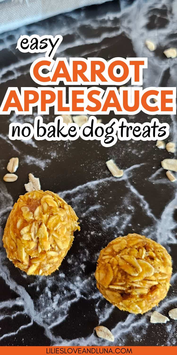 Two round, no-bake dog treats made from carrots, oats, and applesauce are positioned on a dark surface, accompanied by scattered oats.