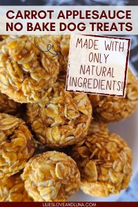 Image showcasing Easy No-Bake Carrot Applesauce Dog Treats - Lilies, Love, and Luna