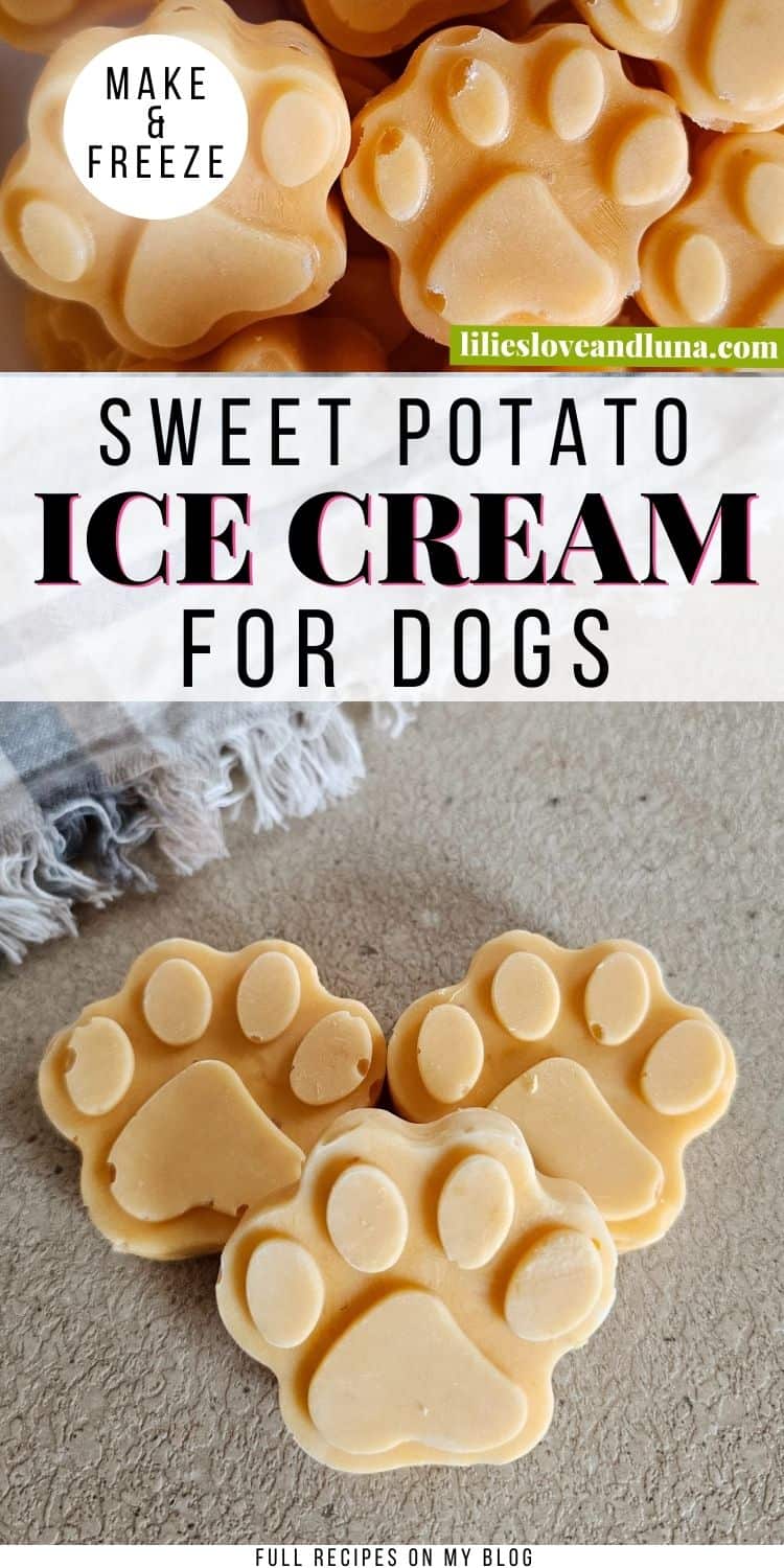 Image of paw-shaped frozen sweet potato ice cream treats for dogs, labeled "Sweet Potato Ice Cream for Dogs," made with two ingredients for a simple homemade dog treat.