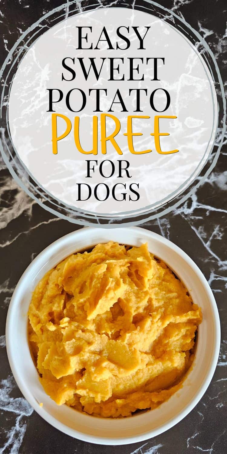 A bowl of smooth sweet potato puree is presented on a marble surface, accompanied by text indicating it is an easy recipe for homemade dog treats.
