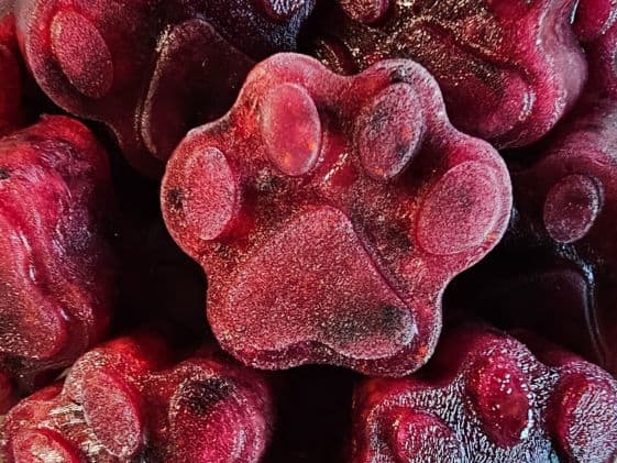 A closeup of paw shaped frozen watermelon blueberry dog treats.