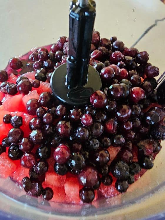 Blueberries, watermelon, and water in a food processor.