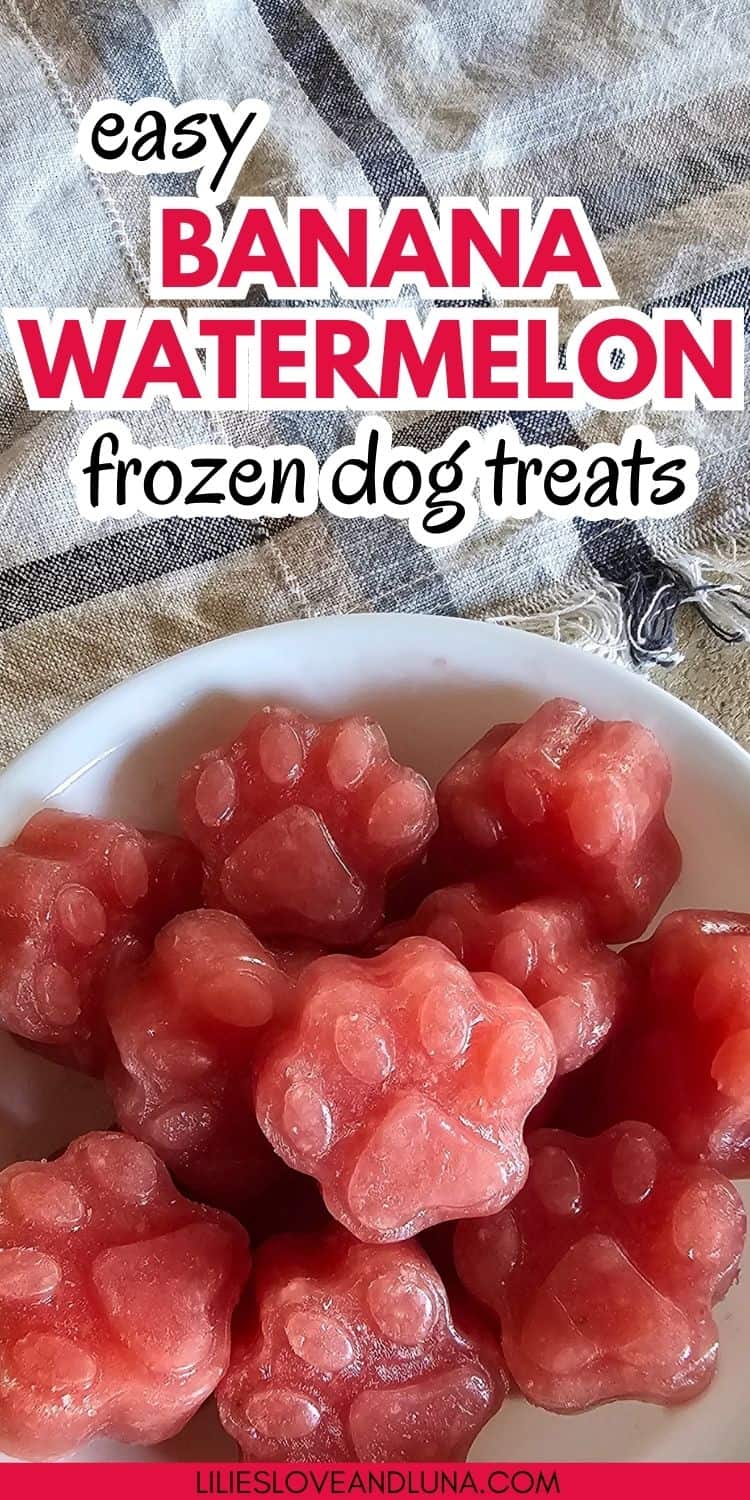 A close-up of homemade frozen dog treats shaped like paw prints, featuring a combination of banana and watermelon.