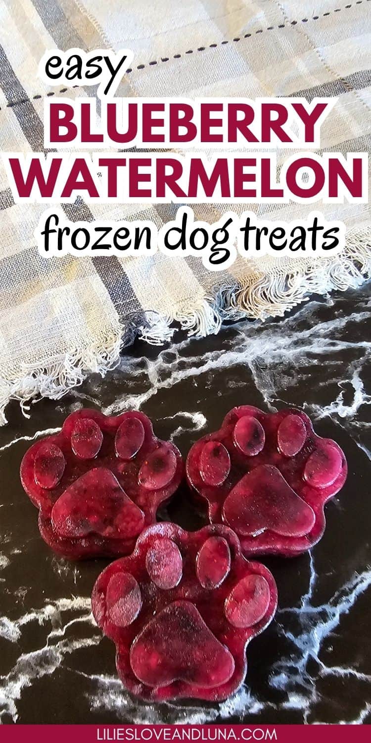 Frozen treats shaped like paw prints, made from a blueberry and watermelon recipe, are arranged on a marble surface with a plaid cloth in the background.