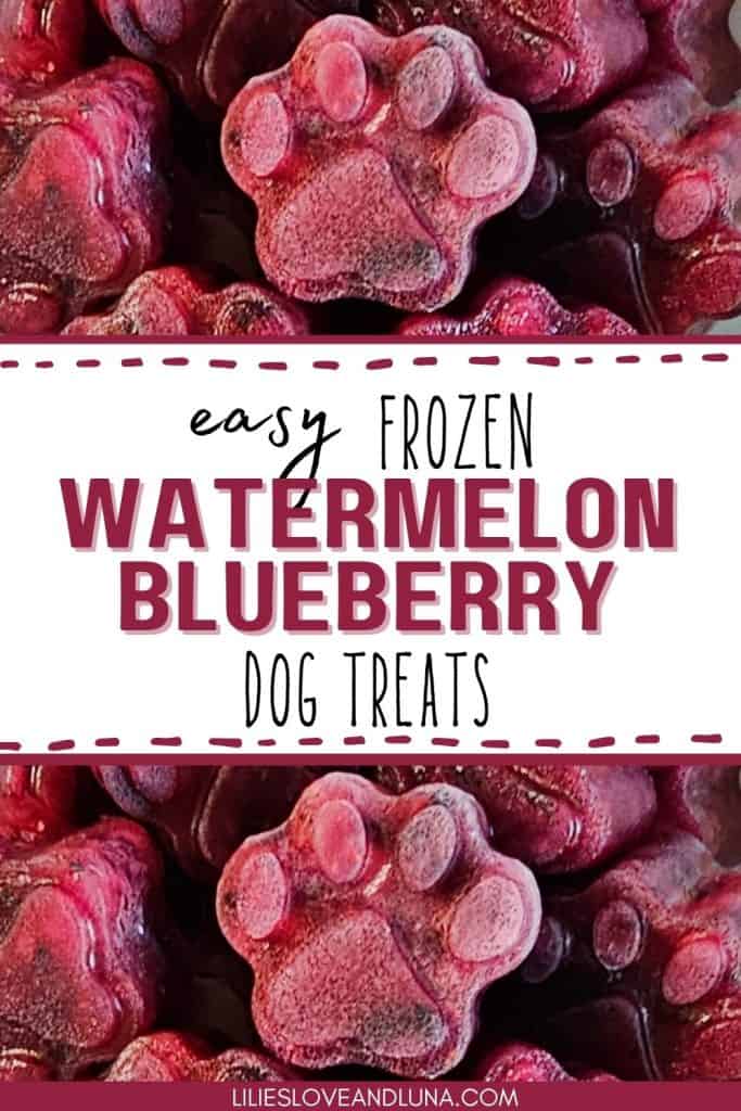 A close-up image of frozen dog treats shaped like paw prints, featuring a vibrant mixture of watermelon and blueberry.