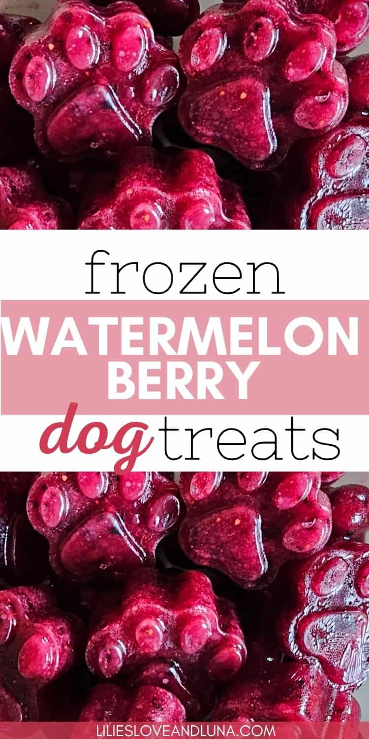 A close-up image of paw-shaped frozen treats in shades of red, labeled as "frozen watermelon berry dog treats."