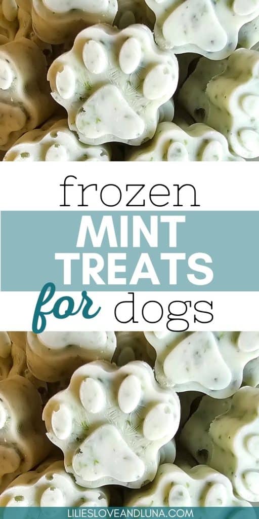 A close-up image of homemade frozen mint dog treats shaped like paw prints, designed to help freshen dog breath.