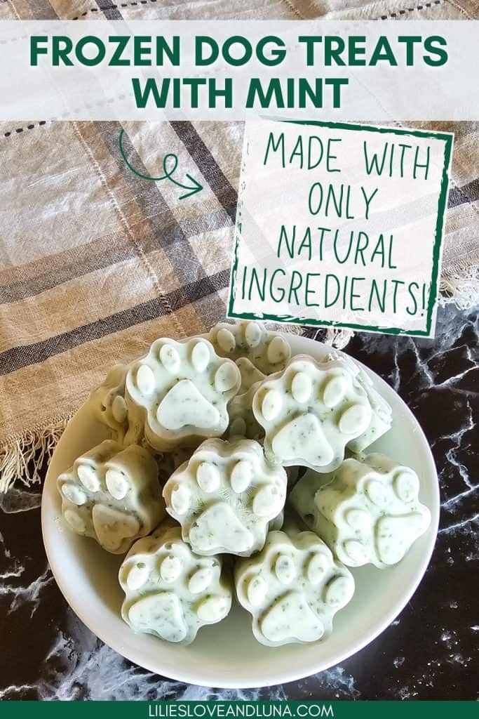 A bowl of frozen homemade dog treats in the shape of paw prints, made with natural ingredients including mint, displayed on a textured surface.