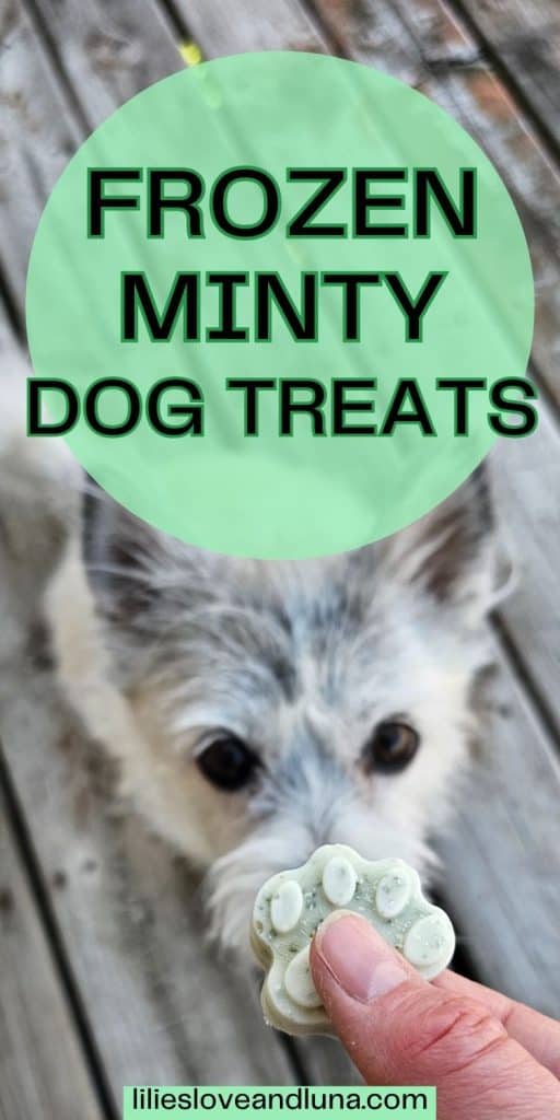 A person holds a paw-shaped frozen minty dog treat while a dog eagerly approaches in the background.