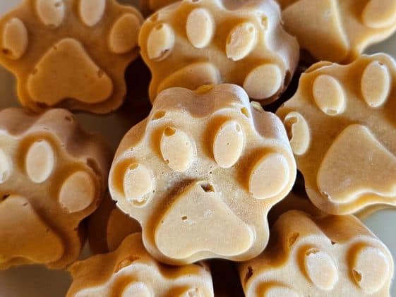 Paw shaped sweet potato applesauce frozen dog treats.