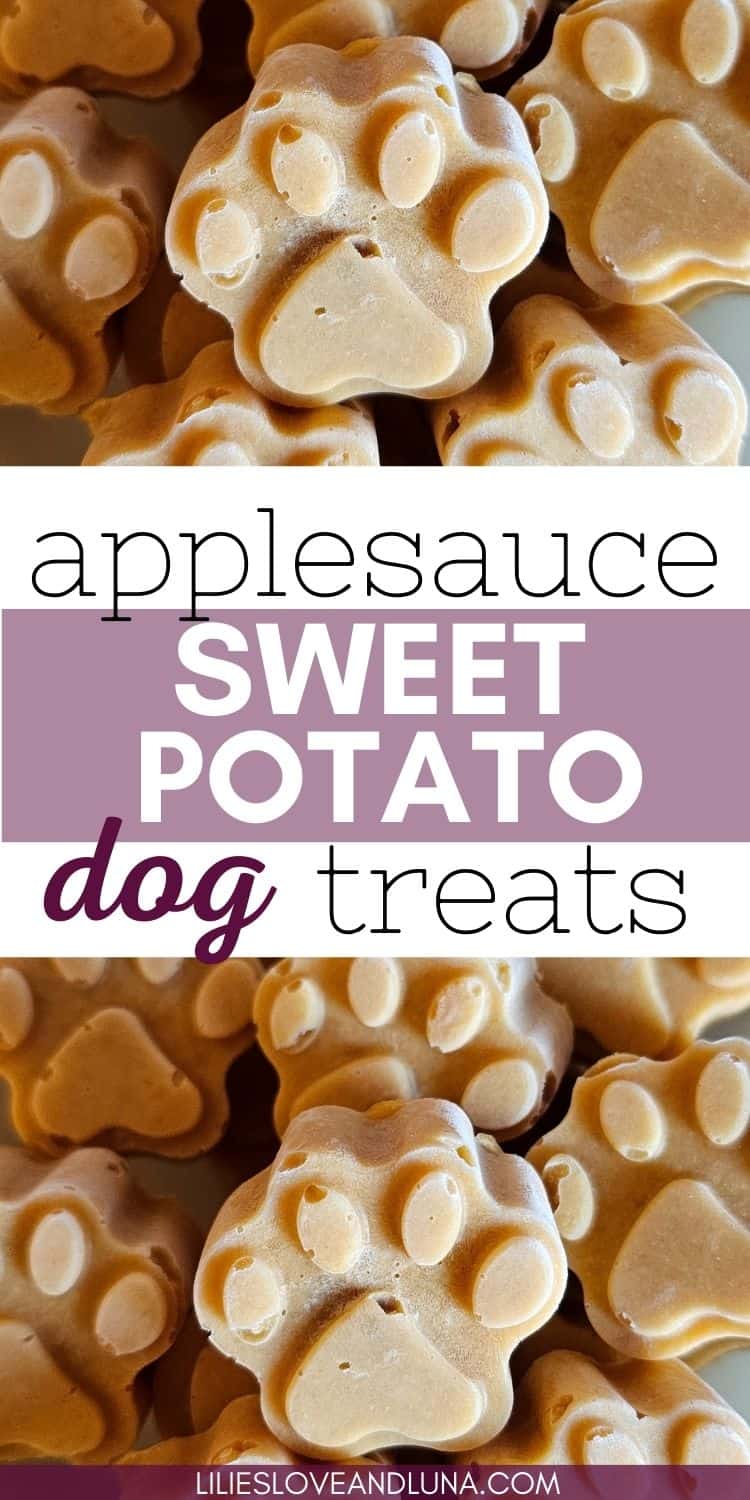 View of Frozen Sweet Potato Applesauce Dog Treats - Lilies, Love, and Luna