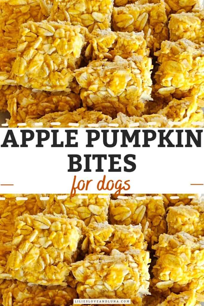 A close-up image of homemade apple pumpkin bites for dogs, made with oats, showcasing a textured, golden-yellow treat.