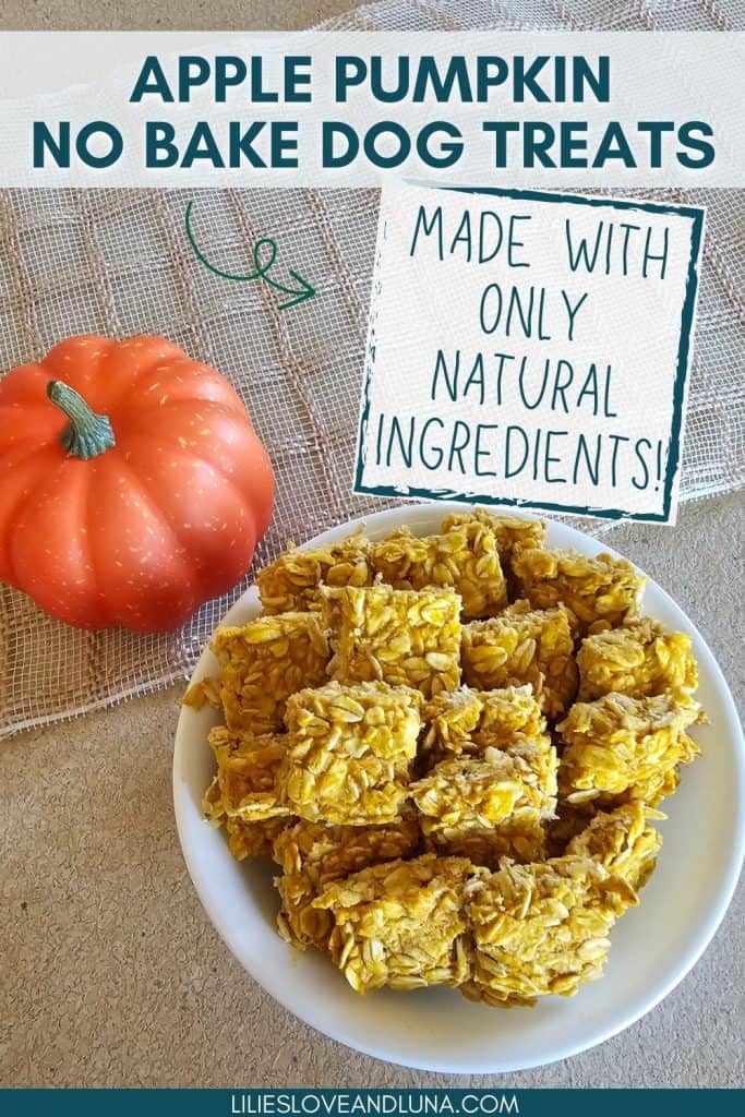 A plate of apple pumpkin no bake dog treats made with natural ingredients is displayed next to a small orange pumpkin.