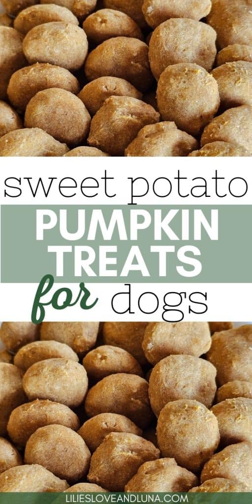 A close-up image of assorted homemade dog treats, featuring sweet potato and pumpkin flavors, ideal for fall and Thanksgiving celebrations.