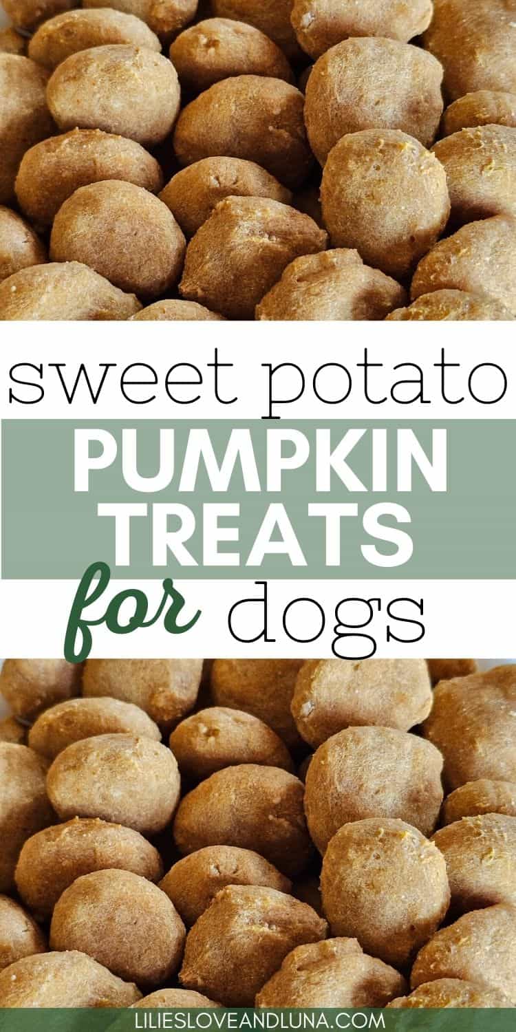 A close-up image of assorted homemade dog treats, featuring sweet potato and pumpkin flavors, ideal for fall and Thanksgiving celebrations.