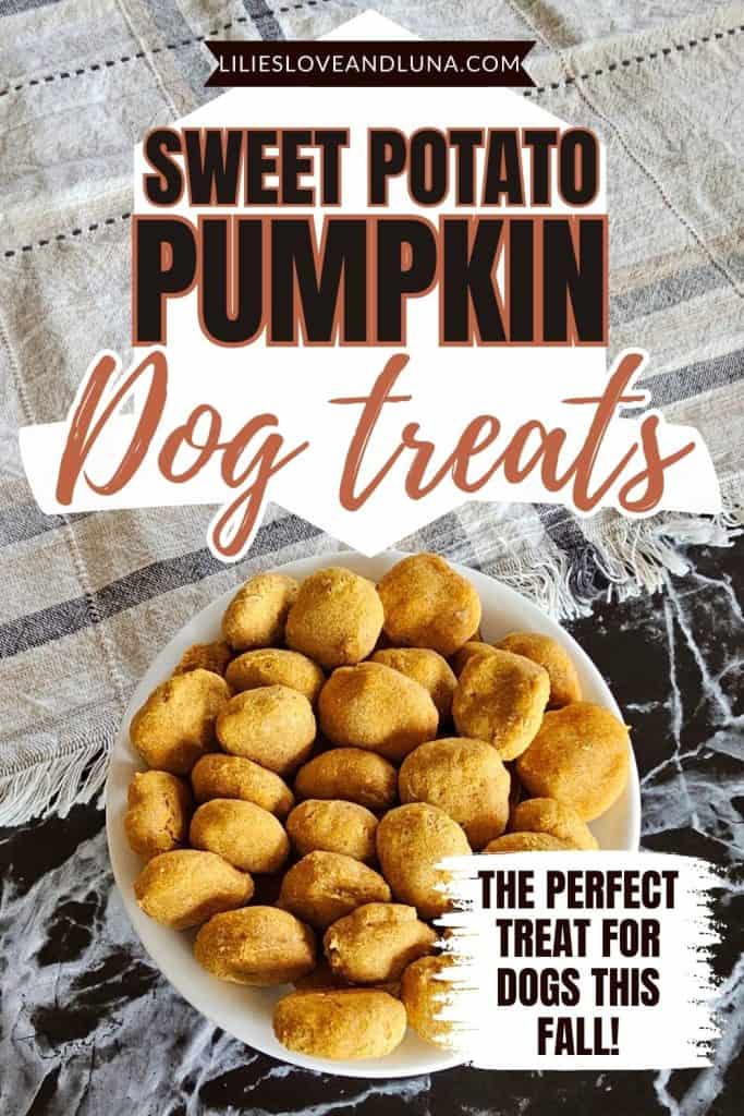 A white plate filled with homemade sweet potato and pumpkin dog treats sits on a marbled surface, accompanied by a textured cloth in the background.