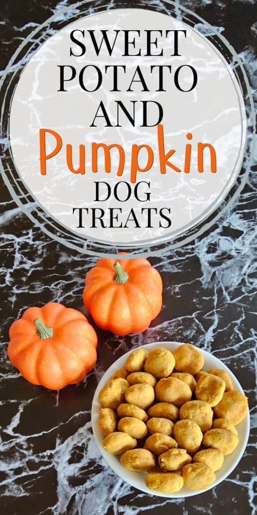 A white bowl filled with homemade sweet potato and pumpkin dog treats is placed on a black marble surface next to two small orange pumpkin decorations.
