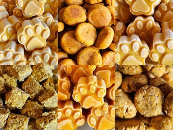 A collage of pumpkin dog treats.