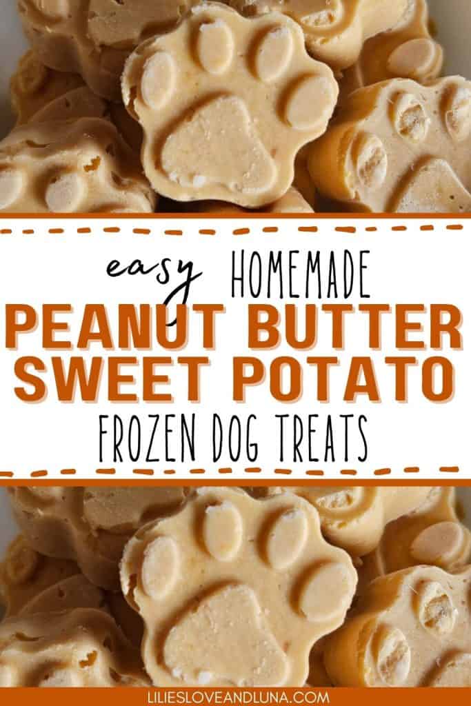 Image of frozen dog treats shaped like paw prints, made with peanut butter and sweet potato, suggesting a recipe for easy homemade dog treats.