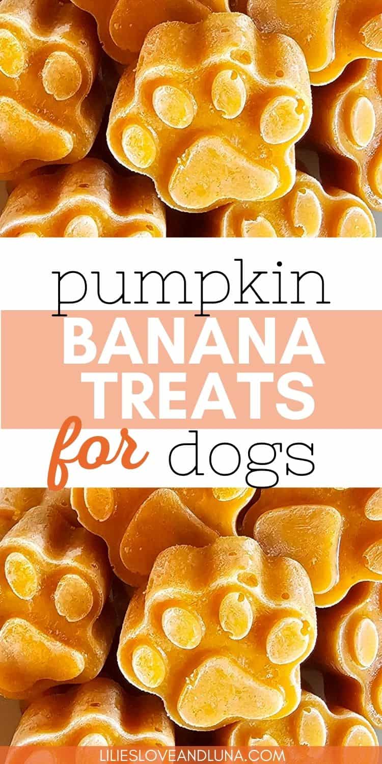 A close-up image of paw-shaped homemade dog treats made with pumpkin and banana, highlighting their vibrant orange color and textured details.