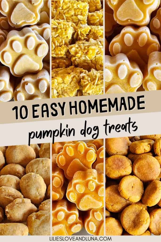A collage of various homemade pumpkin dog treats, including paw-shaped cookies and bars, accompanied by the text "10 Easy Homemade Pumpkin Dog Treats."