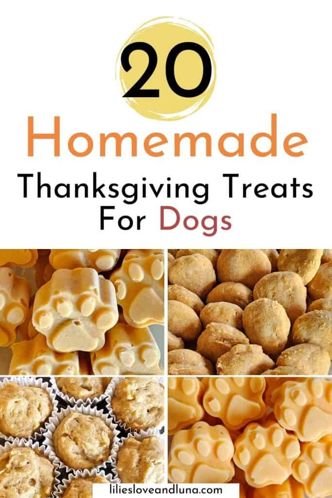 A collage of various homemade dog treats, including pumpkin-shaped and paw-print designs, showcasing recipes suitable for Thanksgiving and autumn flavors.