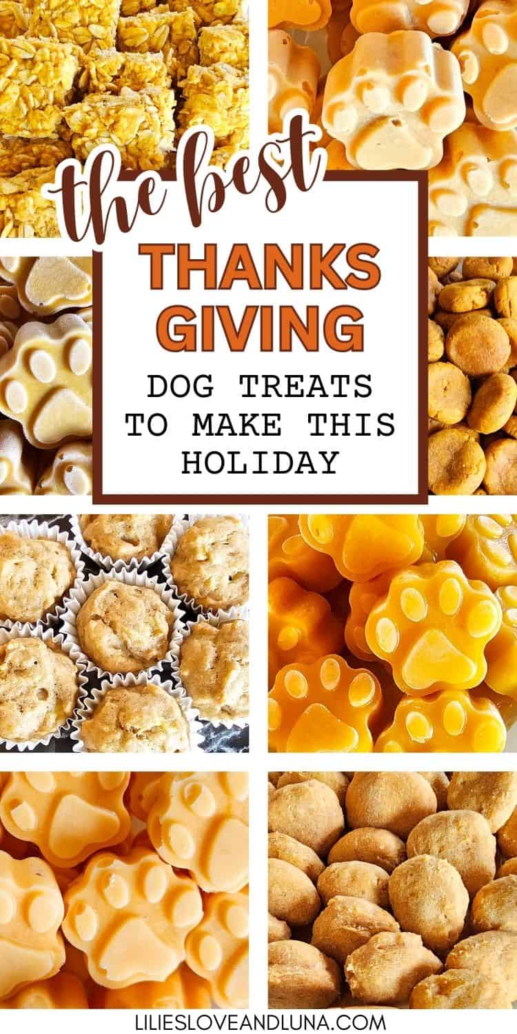A collage featuring various homemade dog treats, including paw-shaped biscuits and pumpkin-flavored snacks, with a prominent title about the best Thanksgiving dog treats to make this holiday.