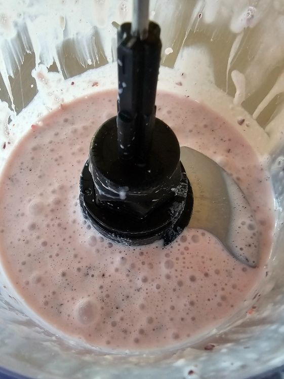 Cranberry yogurt puree in a food processor.