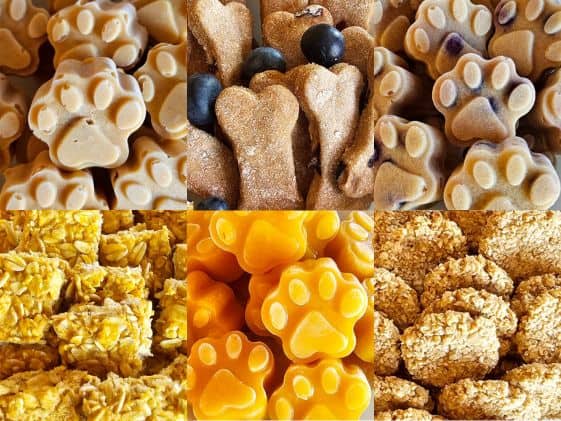 A collage of various homemade apple dog treats, including paw-shaped and bone-shaped snacks, alongside oatmeal-based treats.