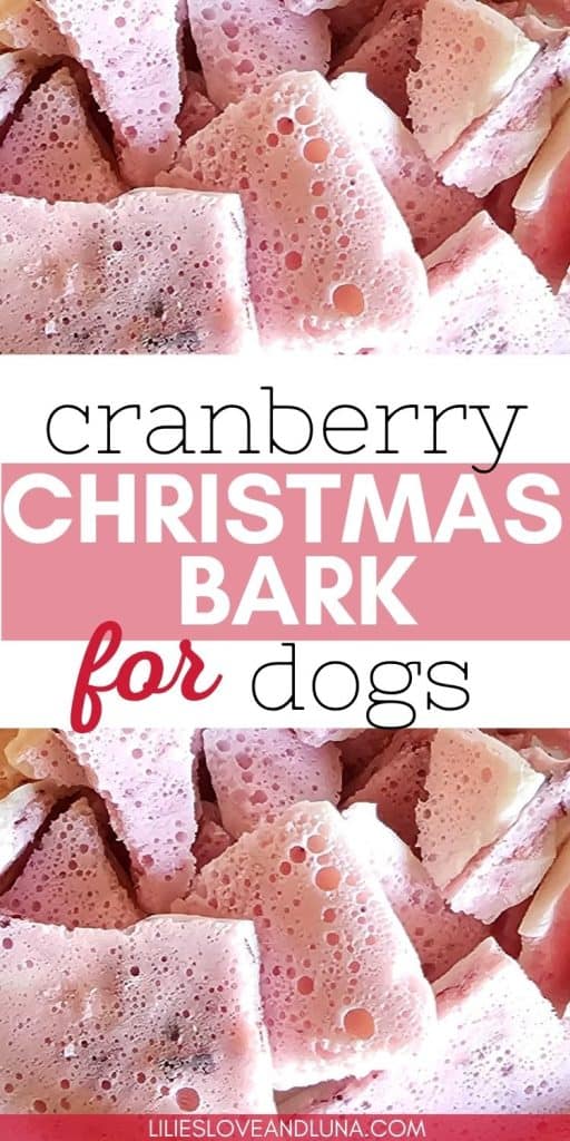 A close-up of pink cranberry Christmas bark treats for dogs, designed as a holiday snack.