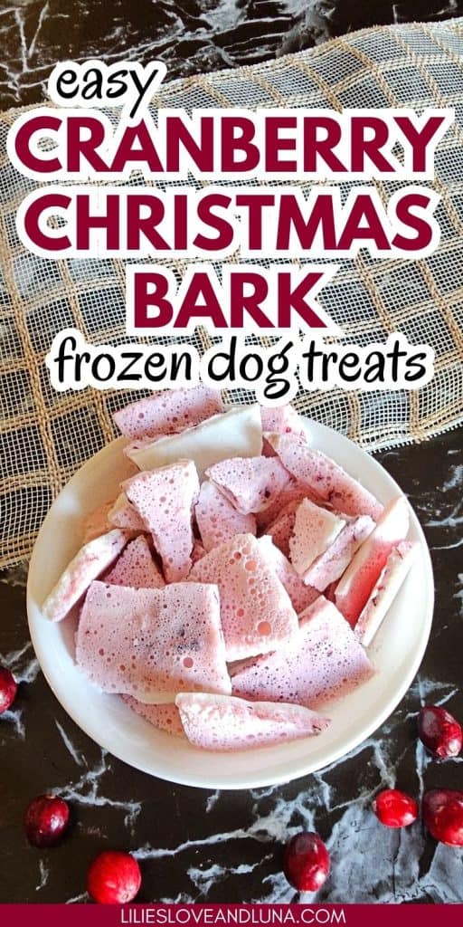 A plate of homemade cranberry dog treats, shaped in bite-sized pieces, is displayed alongside fresh cranberries, suggested as a fun holiday treat for dogs.