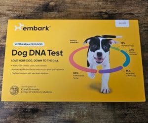 Embark DNA Test for dogs.