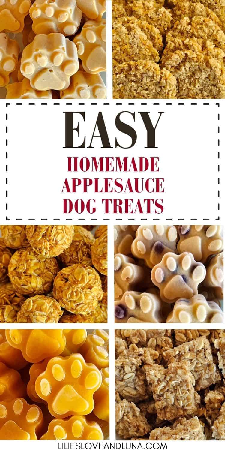 A collection of homemade apple dog treats displayed in various shapes and textures, including paw prints and oatmeal-based snacks, showcasing simple recipes suitable for dogs.