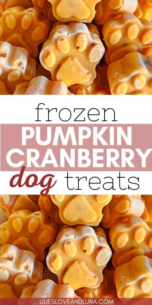 A close-up of frozen dog treats shaped like paw prints, featuring a combination of pumpkin and cranberry, suggesting a seasonal recipe for dog-friendly snacks.