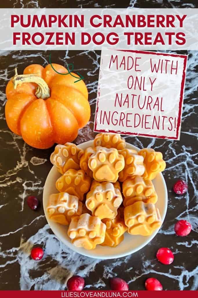 A plate of pumpkin cranberry frozen dog treats, shaped like paw prints, is arranged alongside fresh cranberries and a small pumpkin.