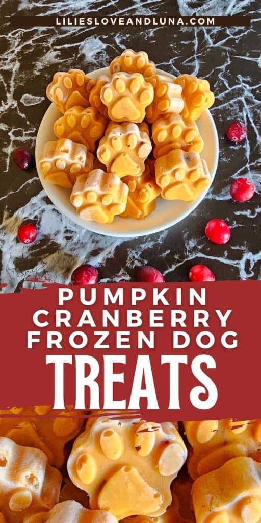 A plate of paw-shaped frozen dog treats made with pumpkin and cranberry, surrounded by fresh cranberries, is shown on a marble countertop.