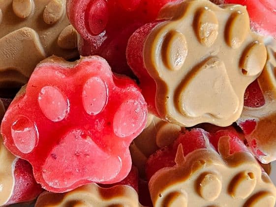 Close up of paw shaped dairy free peanut butter and jelly frozen dog treats.