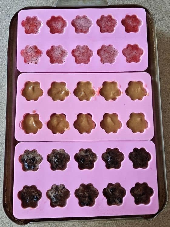 Paw shaped molds filled and ready for the freezer.