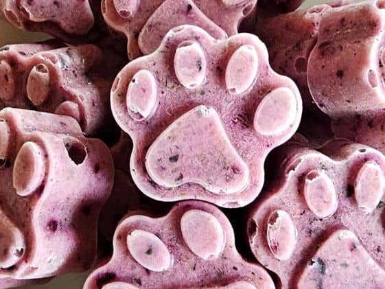 A close up of paw shaped frozen zucchini blueberry dog treats.