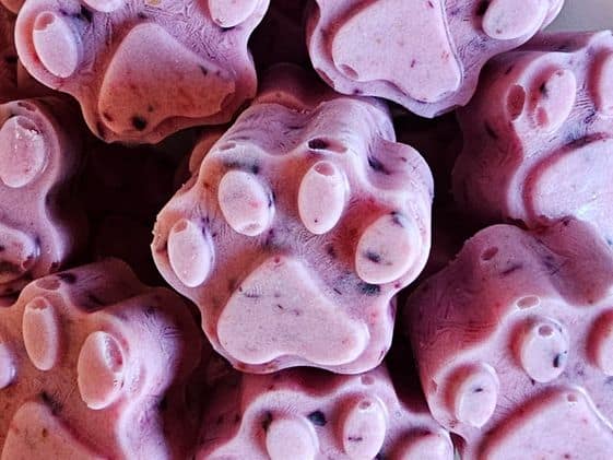 Close up of paw shaped berry ice cream for dogs.