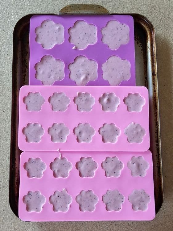 Paw shaped silicone molds filled and ready for the freezer.
