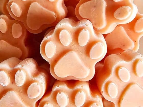 Close up of paw shaped strawberry mango frozen dog treats.