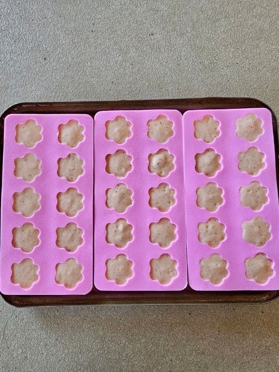 Paw shaped silicone molds filled and ready to go in the freezer.