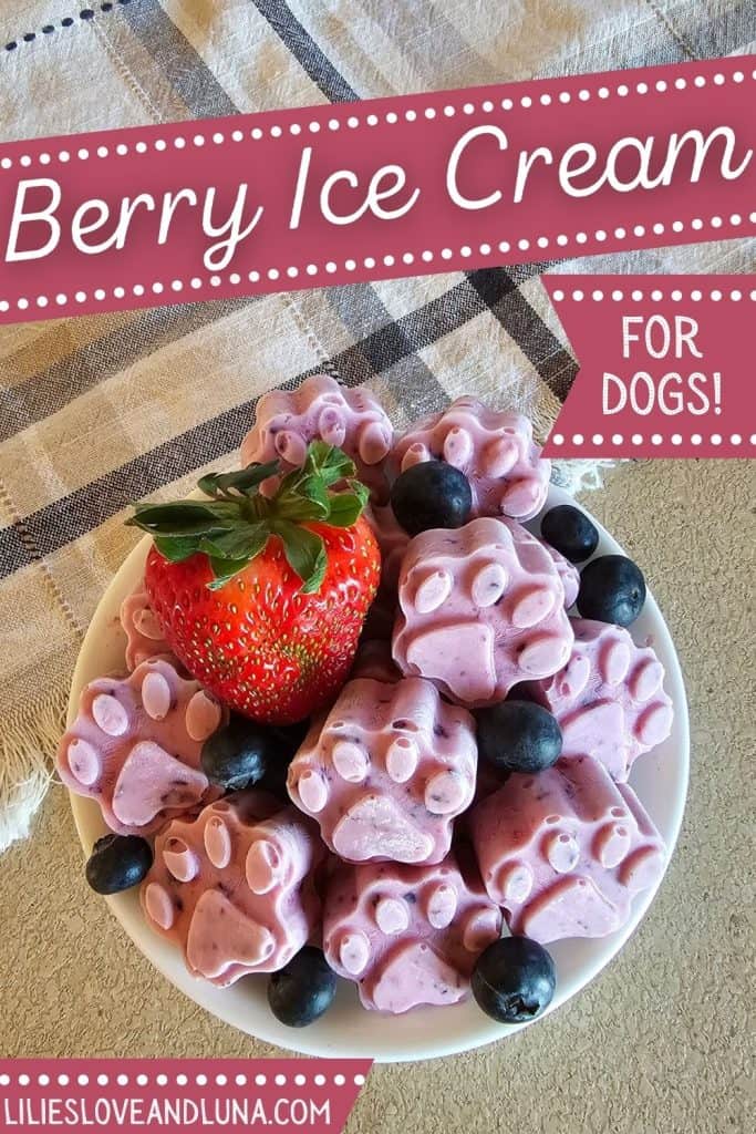 A bowl of homemade berry ice cream shaped like paw prints, topped with a strawberry and blueberries, presented on a patterned cloth.