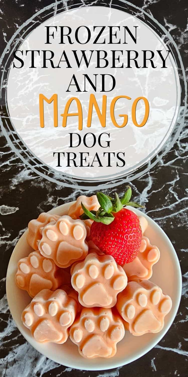 A bowl of frozen strawberry and mango dog treats shaped like paw prints, accompanied by a fresh strawberry, sits on a marble countertop.