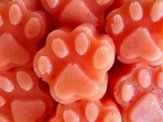 Close up of paw shaped strawberry mango pineapple frozen dog treats.