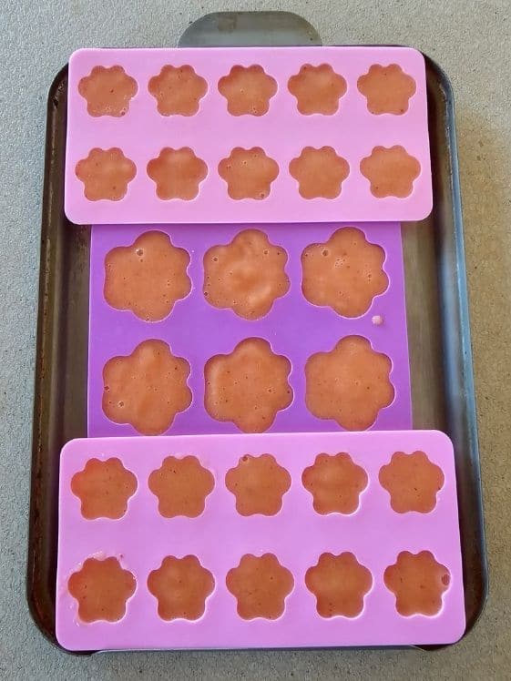 Paw shaped silicone molds filled and ready for the freezer.