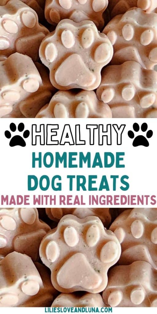 A close-up image of paw-shaped frozen dog treats made with real ingredients, suggesting options like cucumber, strawberry, and banana for easy homemade summer treats.