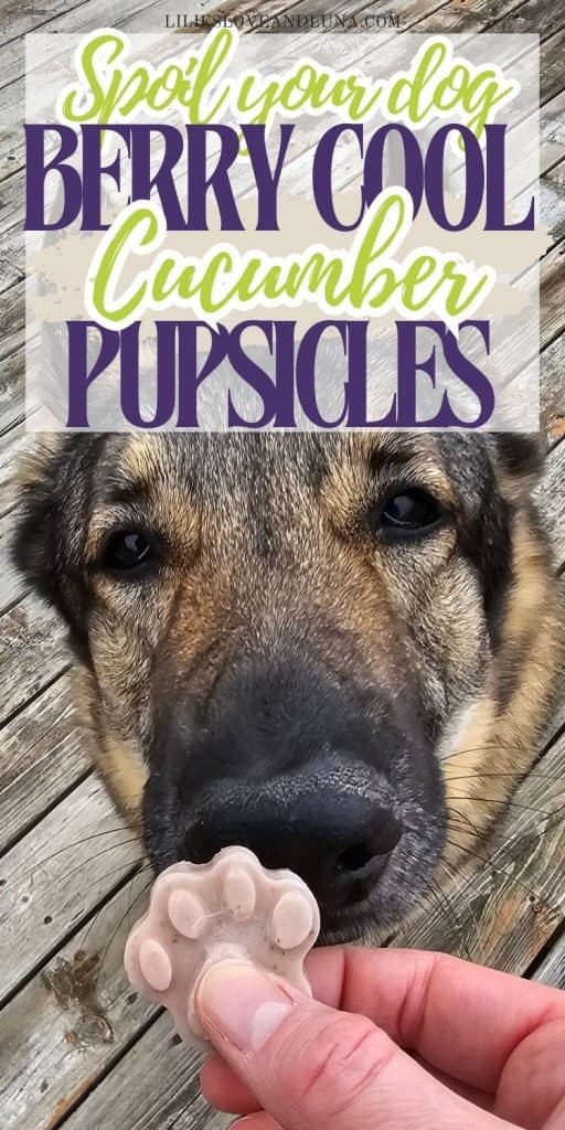 A close-up image of a dog's face eagerly reaching for a paw-shaped frozen treat, labeled as "Berry Cool Cucumber Popsicles," on a wooden surface.