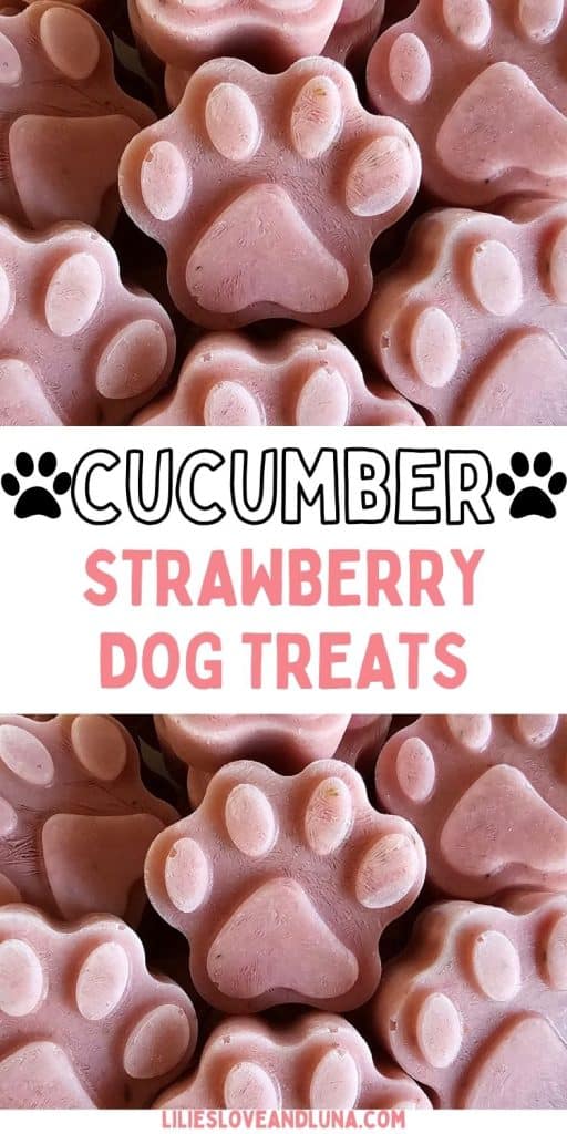 A collection of frozen paw-shaped dog treats made with cucumber and strawberry, labeled as "Cucumber Strawberry Dog Treats."